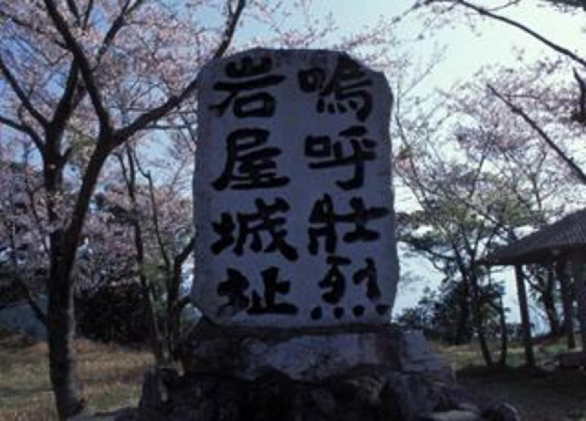四王寺林道・岩屋城跡の代表写真9