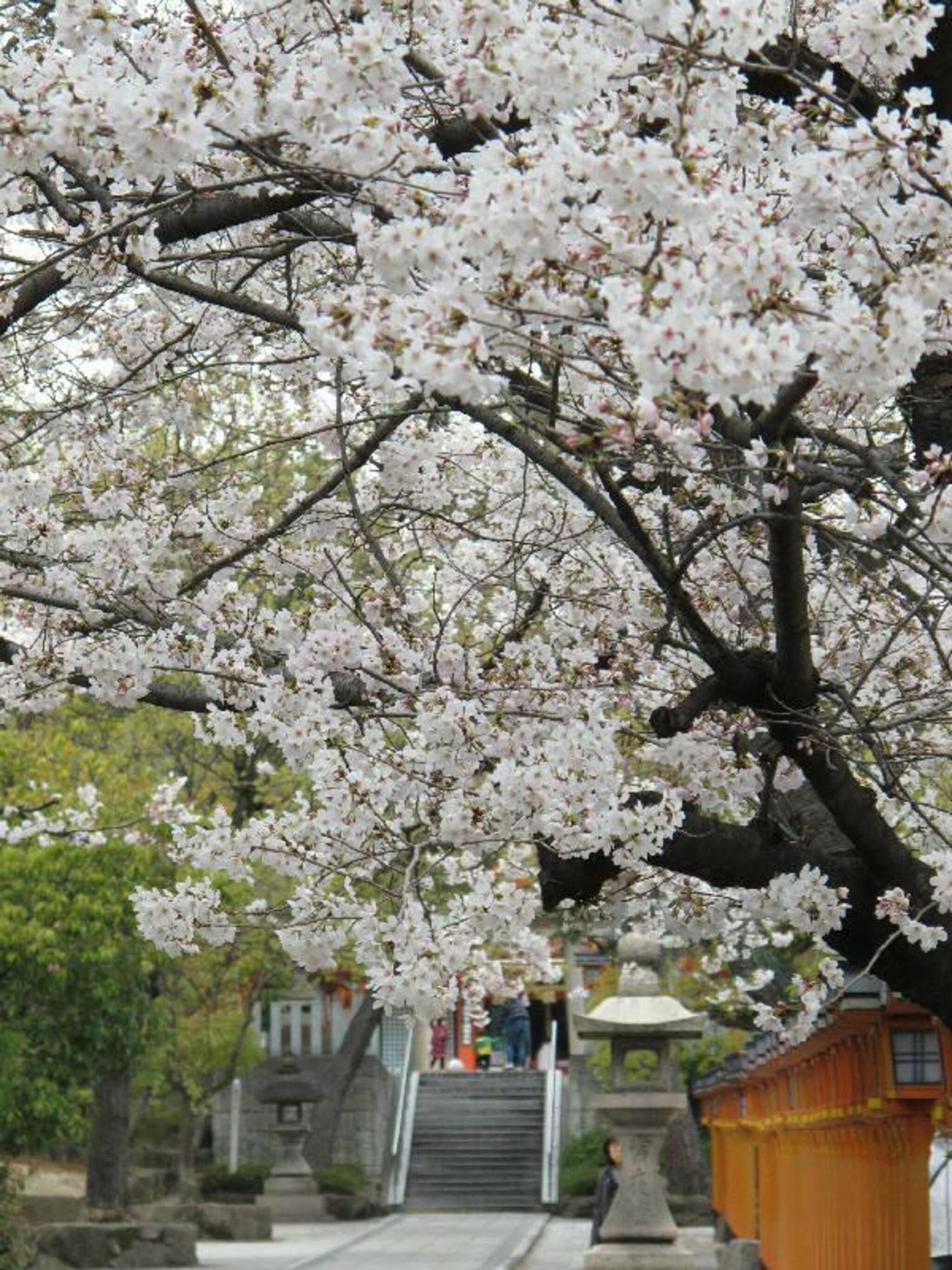 素盞烏尊神社 片山神社の代表写真2