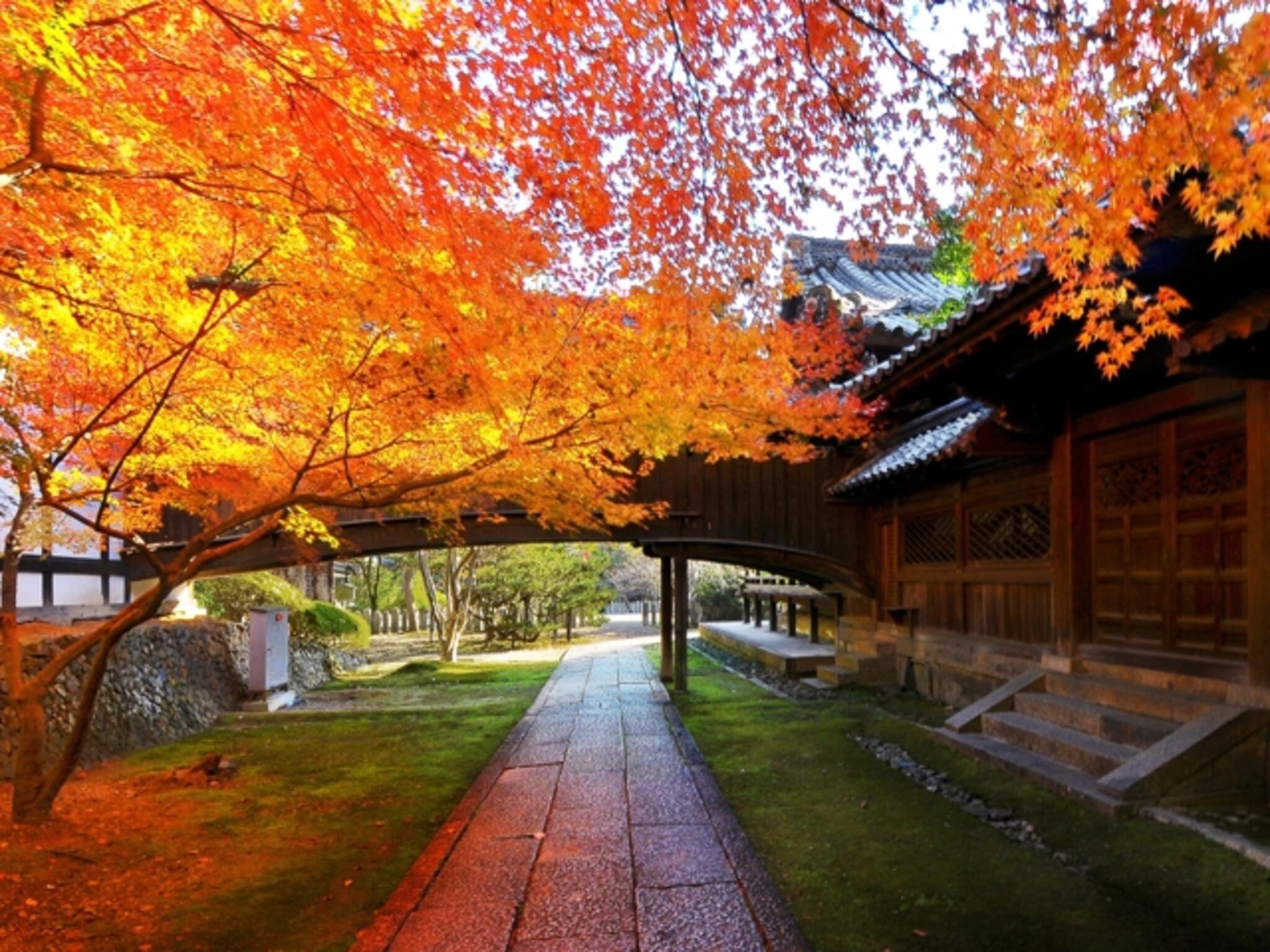 向日神社の代表写真2