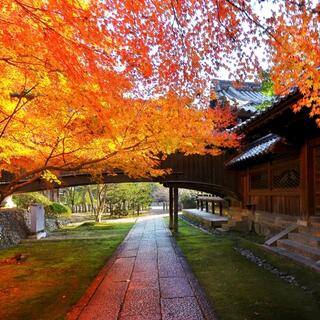 向日神社の写真2