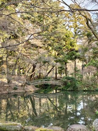京都府立植物園のクチコミ写真10