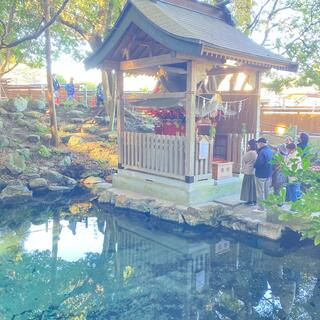 泉神社の写真22