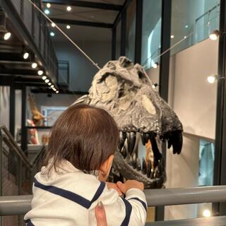 福井県立恐竜博物館の写真30
