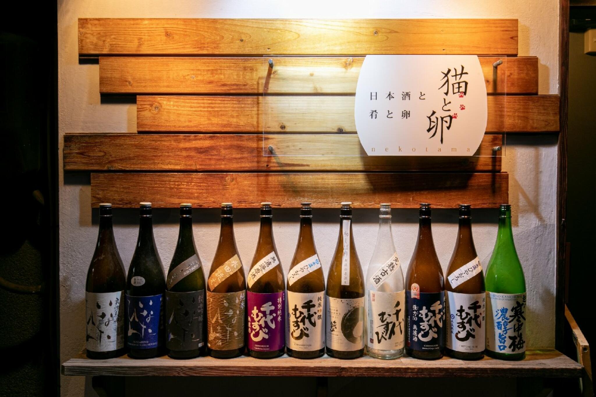 日本酒と肴と卵 猫と卵の代表写真3