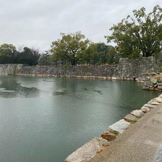 広島城の写真17