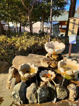 櫻木神社のクチコミ写真5