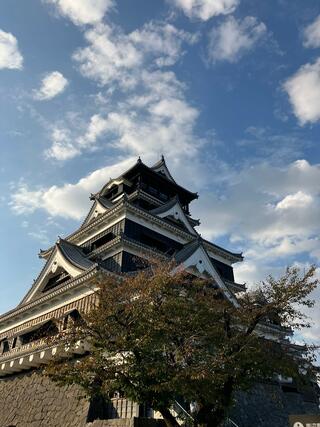 熊本城のクチコミ写真1
