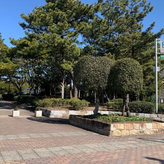 県立幕張海浜公園の写真23