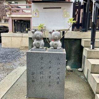 今戸神社の写真17