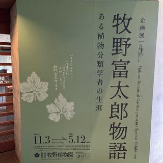 高知県立牧野植物園の写真29