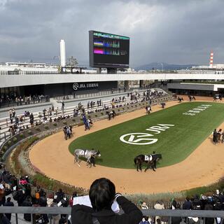 JRA 京都競馬場の写真12
