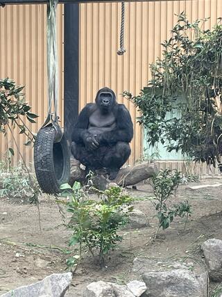 京都市動物園のクチコミ写真5