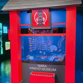 NARA KINGYO MUSEUMの写真23