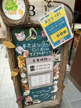 Cat Cafe てまりのおうちのクチコミ写真3