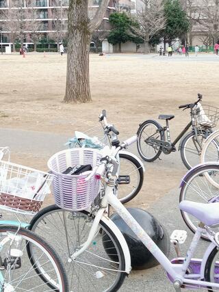 蒔田公園のクチコミ写真8