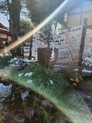 田無神社のクチコミ写真7