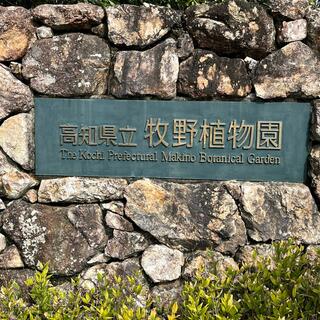 高知県立牧野植物園の写真24