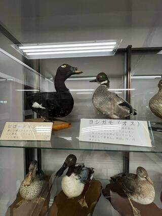 弥富野鳥園のクチコミ写真3