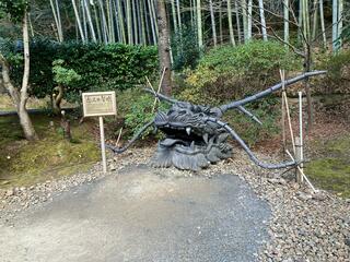 鷲峰山高台寺のクチコミ写真3