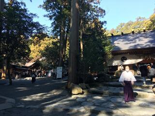 椿大神社のクチコミ写真1