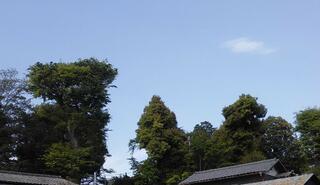 所澤神明社のクチコミ写真3