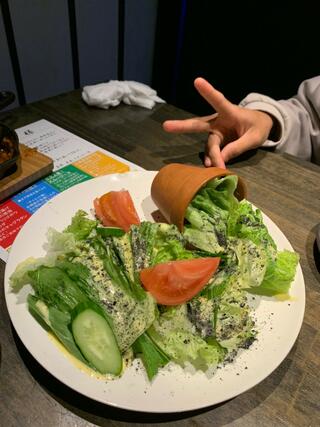 菜縁 松山店のクチコミ写真1