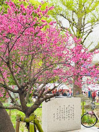 上野恩賜公園のクチコミ写真4