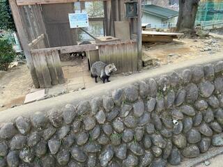 未来へはばたけ 山田製作所桐生が岡動物園のクチコミ写真10