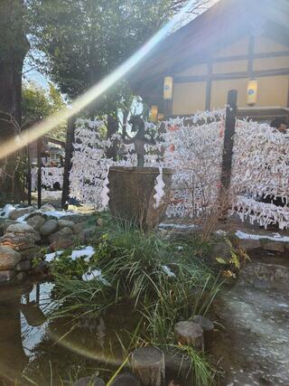田無神社のクチコミ写真9