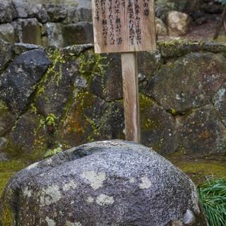 宝満宮 竈門神社の写真28