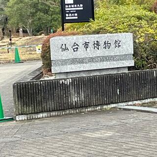仙台市博物館の写真7