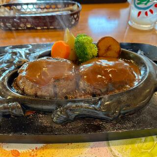 炭焼きレストランさわやか　細江本店の写真29