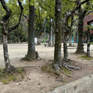 弓之町公園の写真4