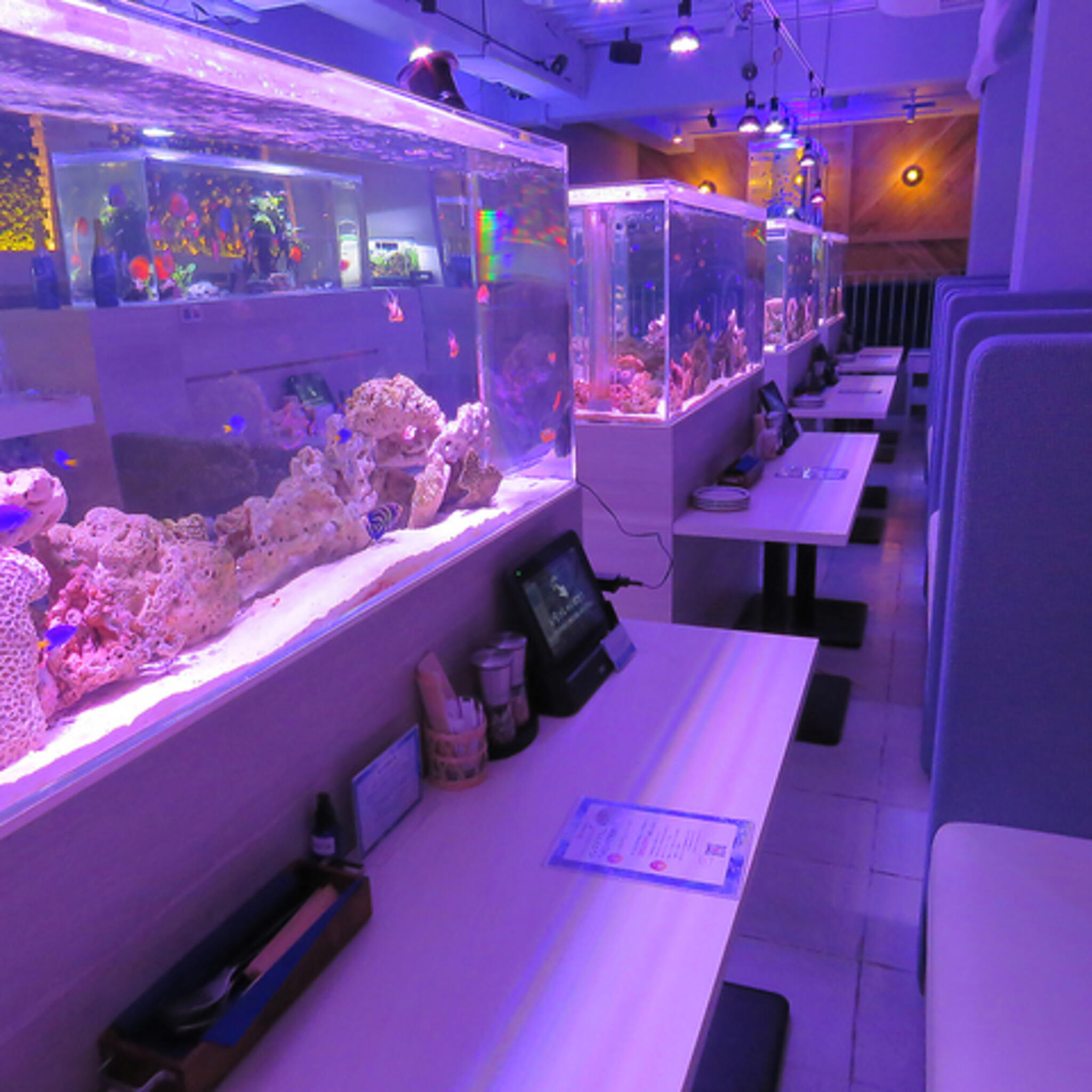 aquarium dining サカナノセカイの代表写真10