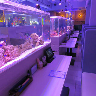 aquarium dining サカナノセカイの写真10