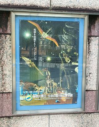 神奈川県立生命の星・地球博物館のクチコミ写真4