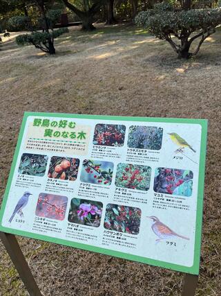 弥富野鳥園のクチコミ写真4