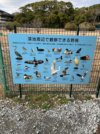 弥富野鳥園のクチコミ写真4