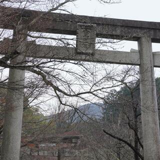 宝満宮 竈門神社の写真27