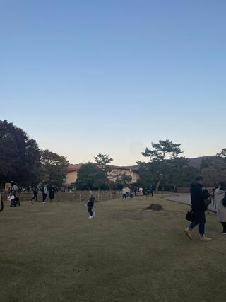 奈良公園のクチコミ写真1