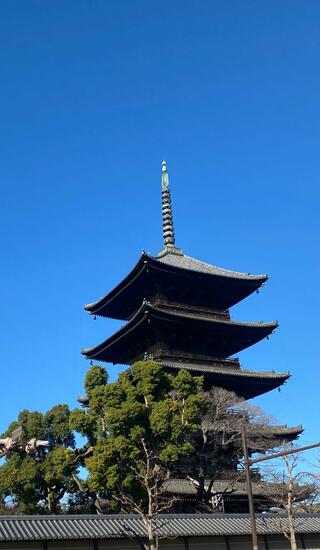 東寺のクチコミ写真2