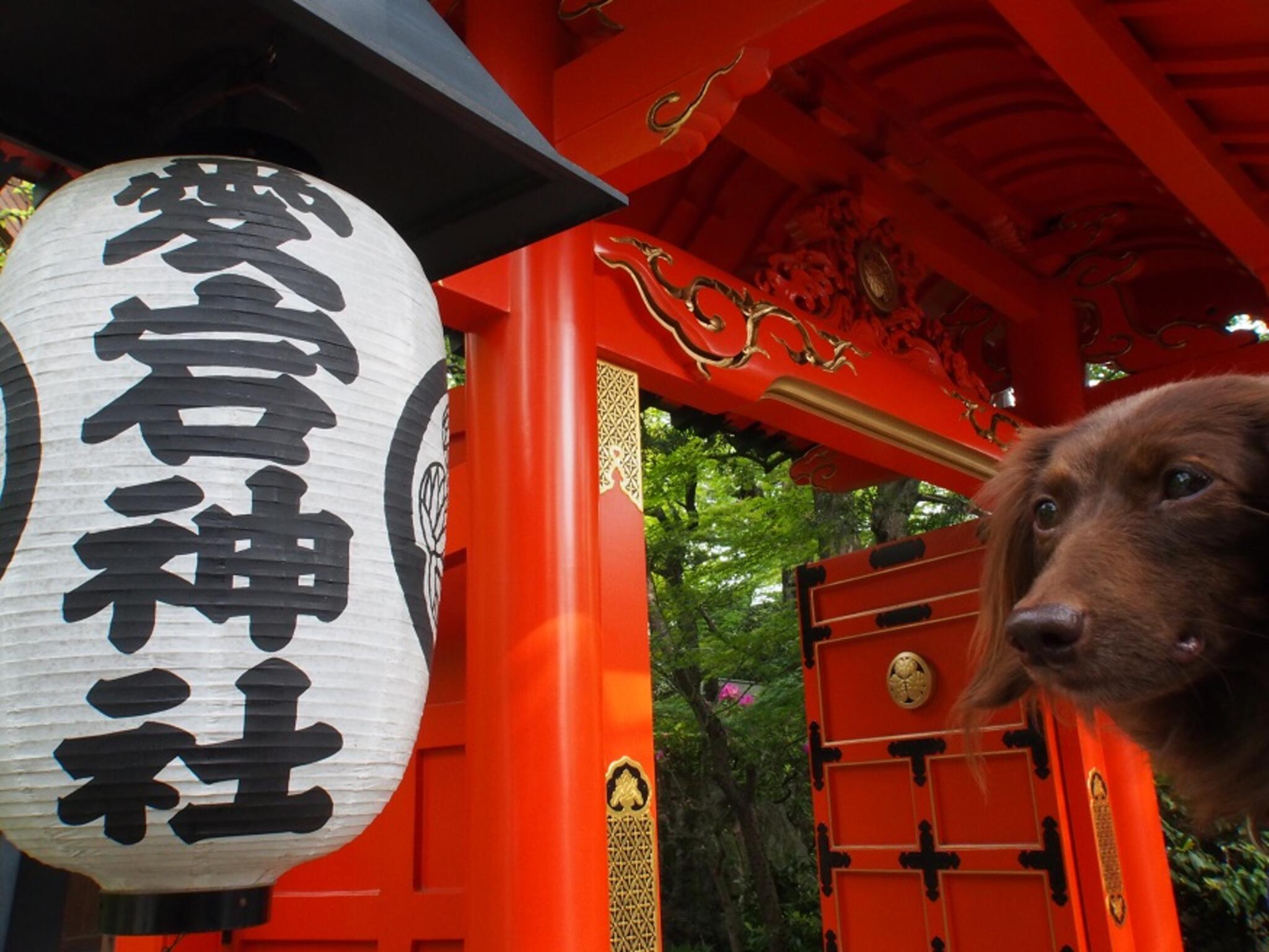 愛宕神社の代表写真8