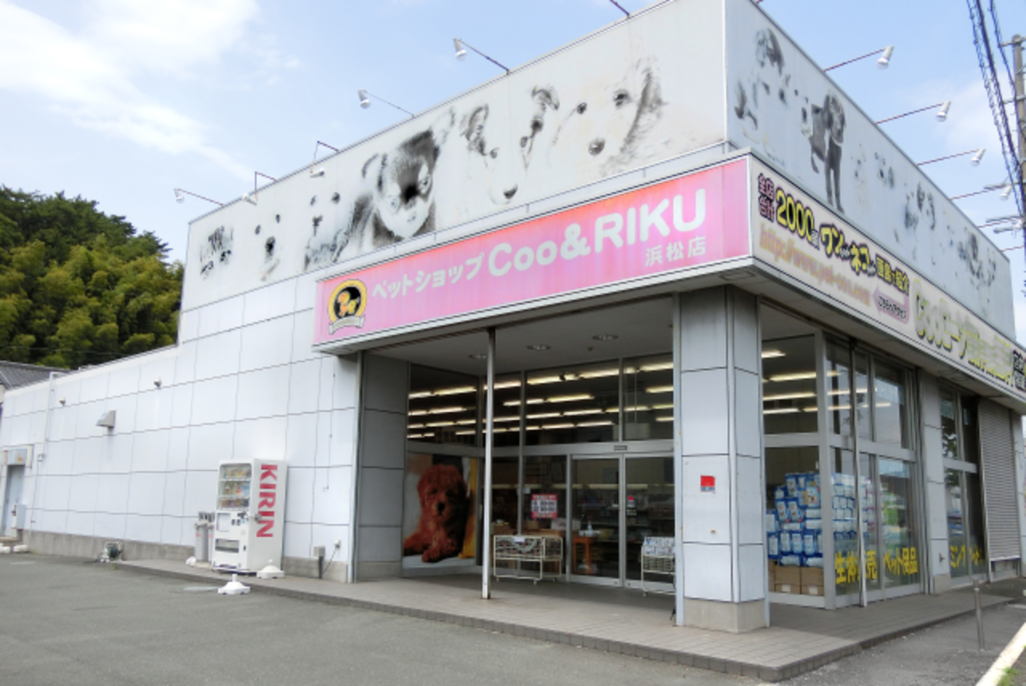 COO&RIKU 浜松店の代表写真1