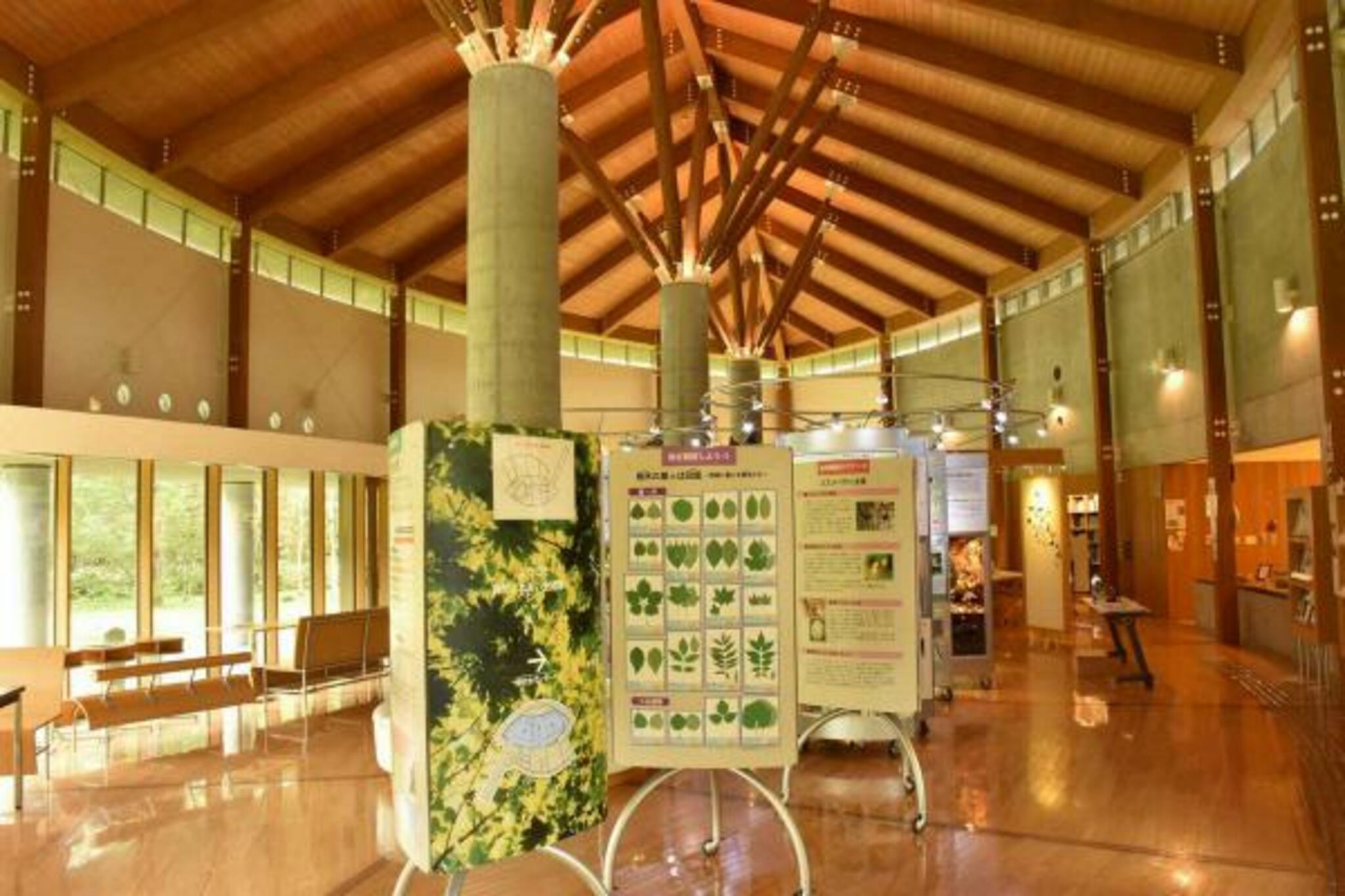 北海道立野幌森林公園自然ふれあい交流館の代表写真2