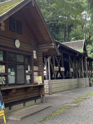 大和市泉の森ふれあいキャンプ場のクチコミ写真2