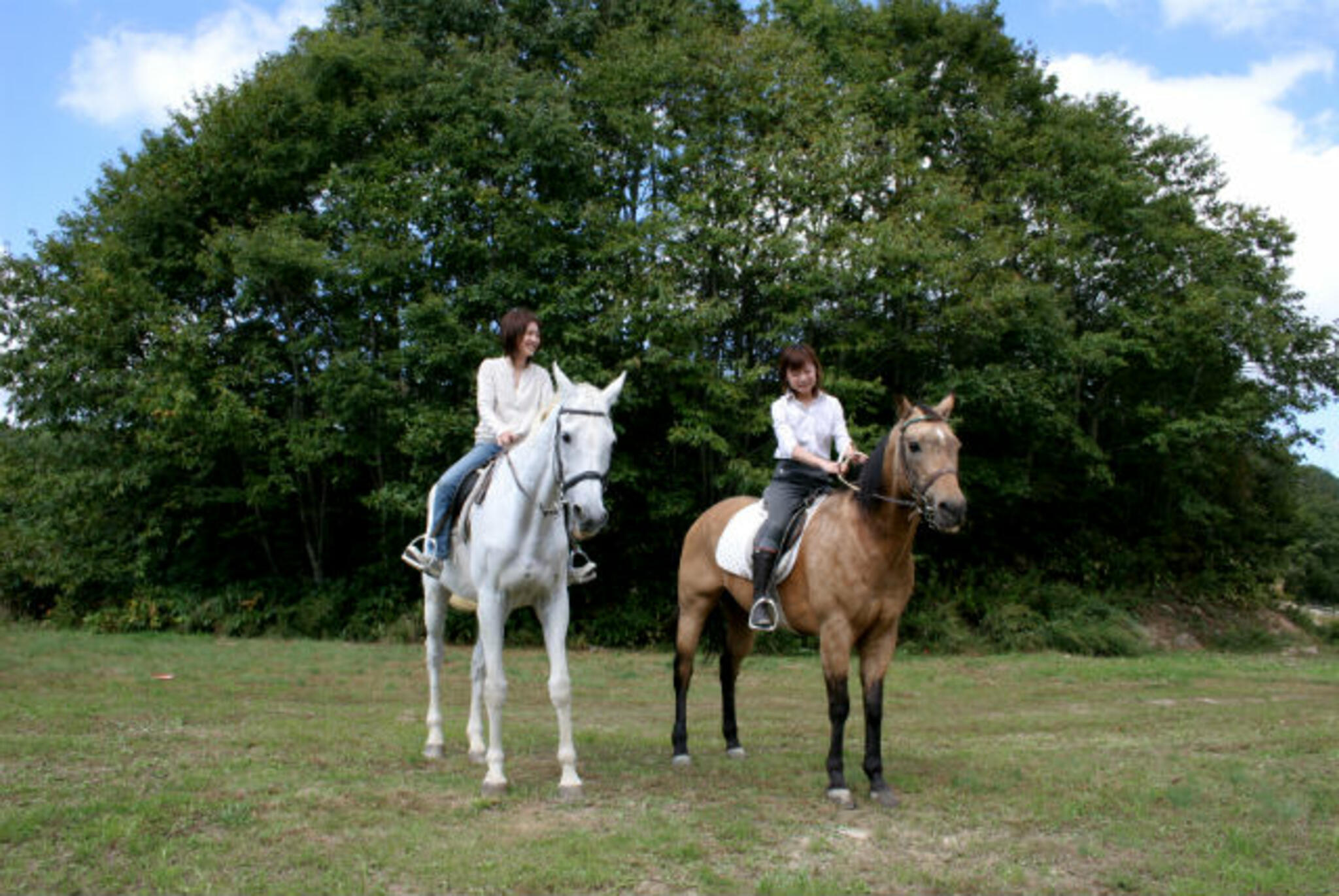 MRC乗馬クラブ広島の代表写真7