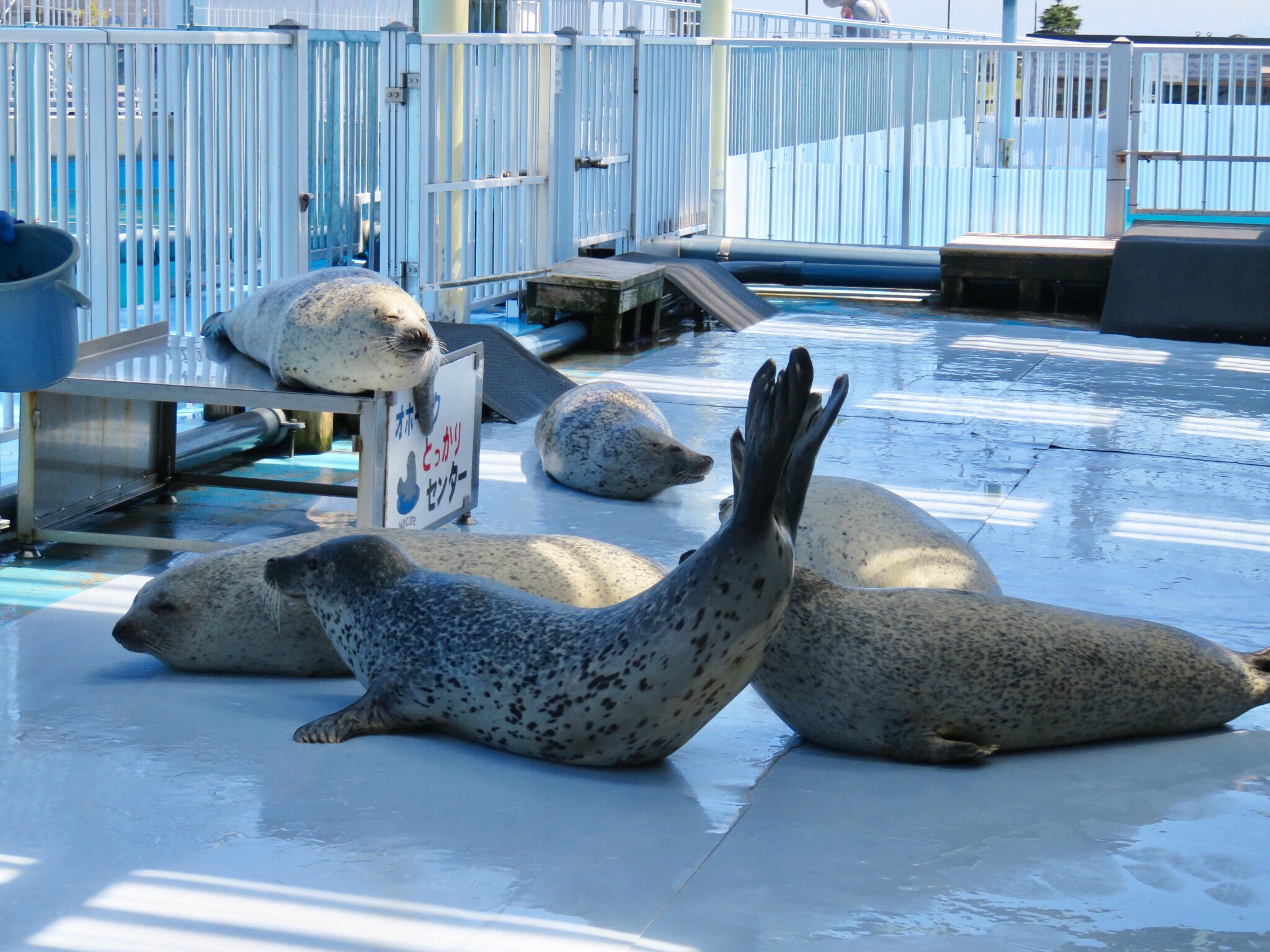 オホーツクとっかりセンターの代表写真2