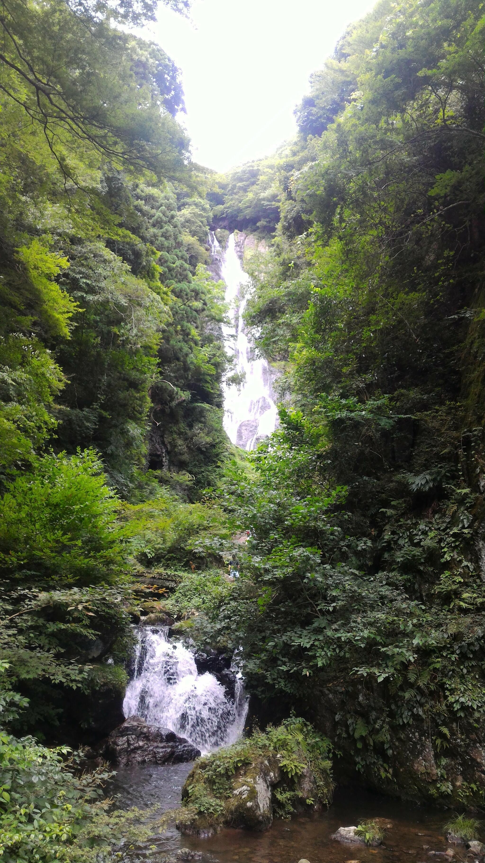 神庭の滝自然公園の代表写真3