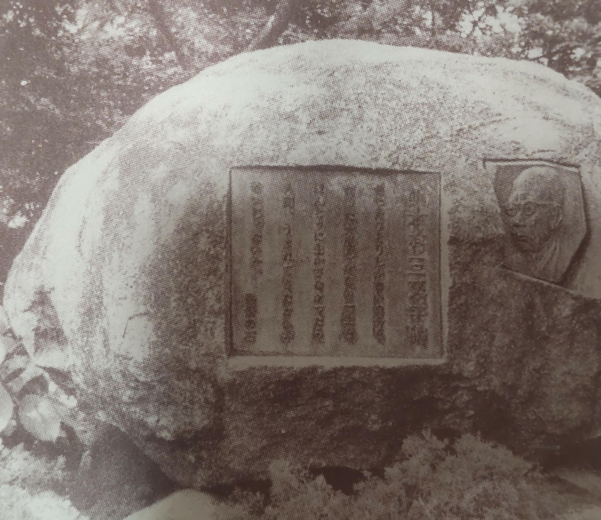 山本有三ふるさと記念館の代表写真3
