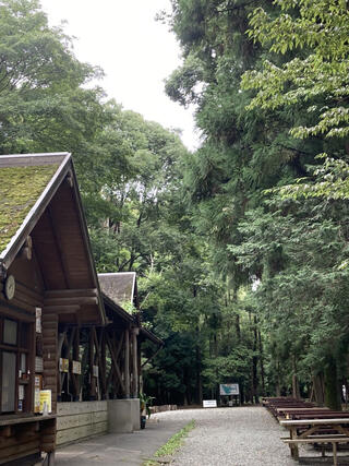 大和市泉の森ふれあいキャンプ場のクチコミ写真1